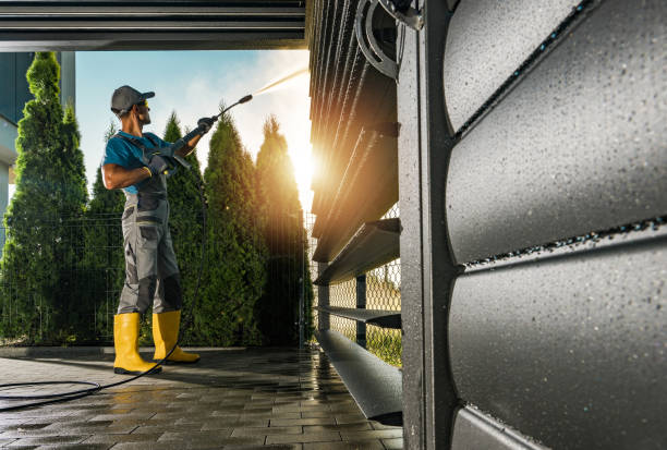 Best Graffiti Removal  in Shields, MI