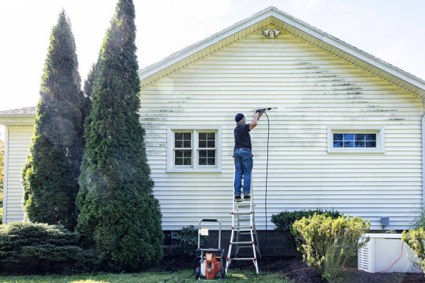 Best Fence Cleaning  in Shields, MI